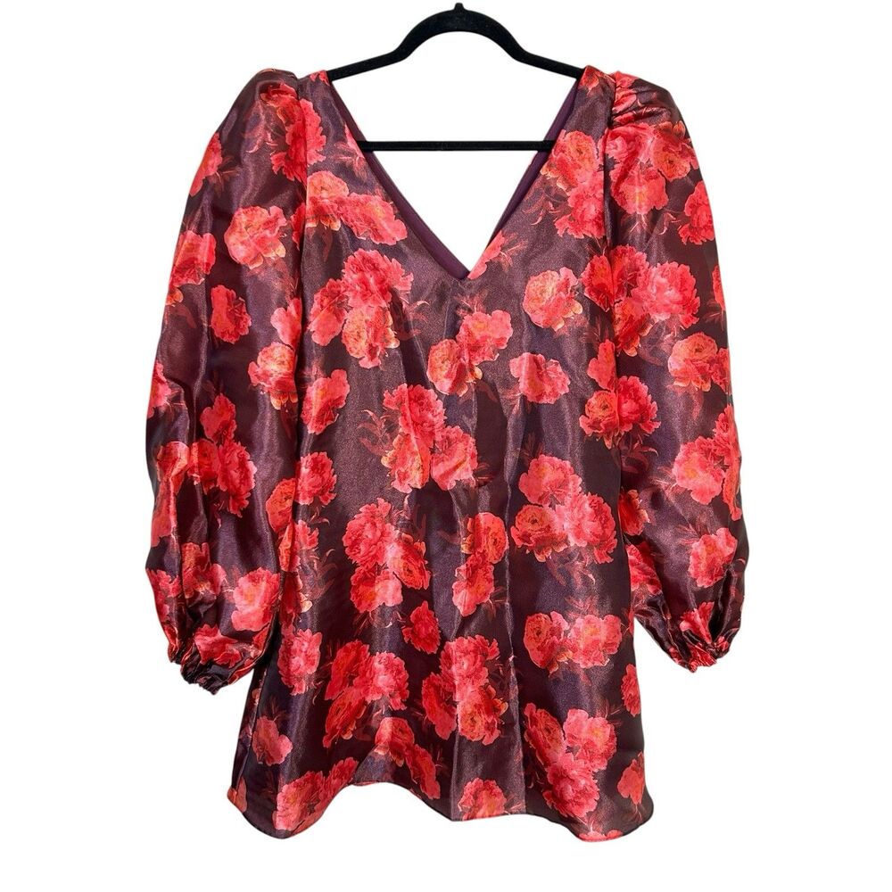 Anthropologie BHLDN Size XS Dress Aliana Long-sleeve V-neck Floral Organza Mini